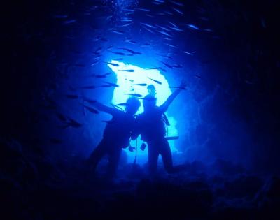 Diving / Snorkel7